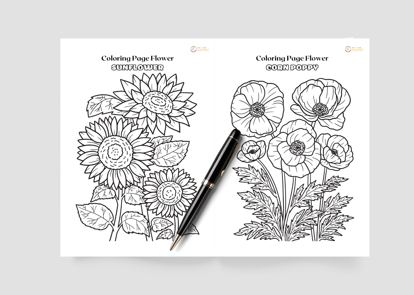 Flower Coloring Book